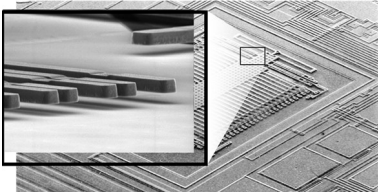 Figure 1 Figure 1