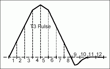 图10. 被分成12段的典型T3脉冲