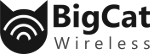 bigcat-wireless-pvt-ltd