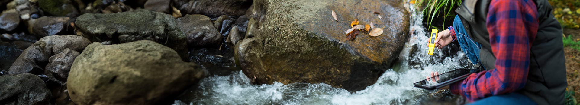 Scientist examines the water quality