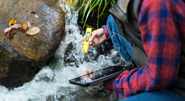 Scientist examines the water quality