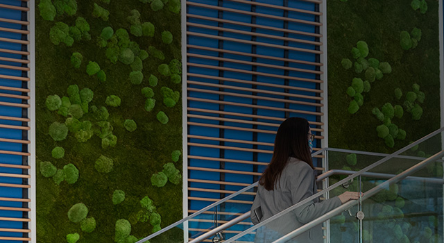 Woman walking up stairs in modern building