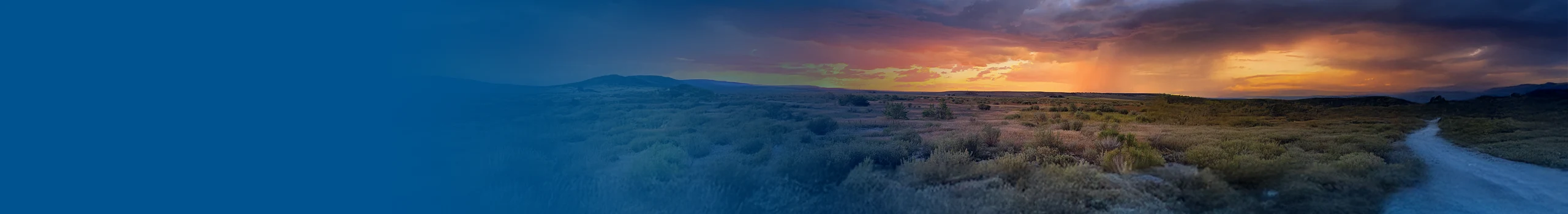 Vibrant sunset over a dry desert with shrubs, orange and purple sky contrasting muted vegetation.