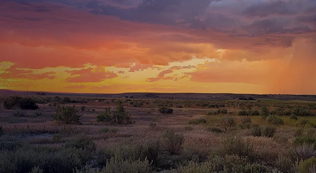 Vibrant sunset over a dry desert with shrubs, orange and purple sky contrasting muted vegetation.