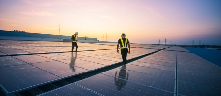 Two workman inspecting solar panels in a solar farm