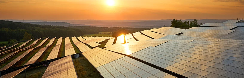 Solar farm at sunset with sun reflecting off panels.