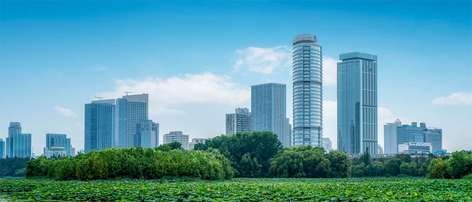 City skyline with high-rises and a serene park with a lotus pond in the foreground.