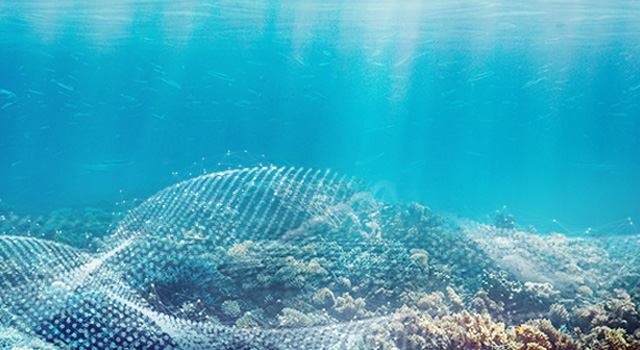 Image shows the bottom of ocean floor and coral reef with light rays streaming down from the water surface above. The reef is being mapped with a graphical overlay of data grids and sensors.