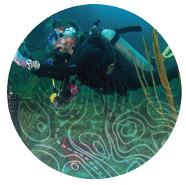 Graphic image of a scuba diver swimming near ocean floor and reef. Marketing Strategy and Busines Dynamics.