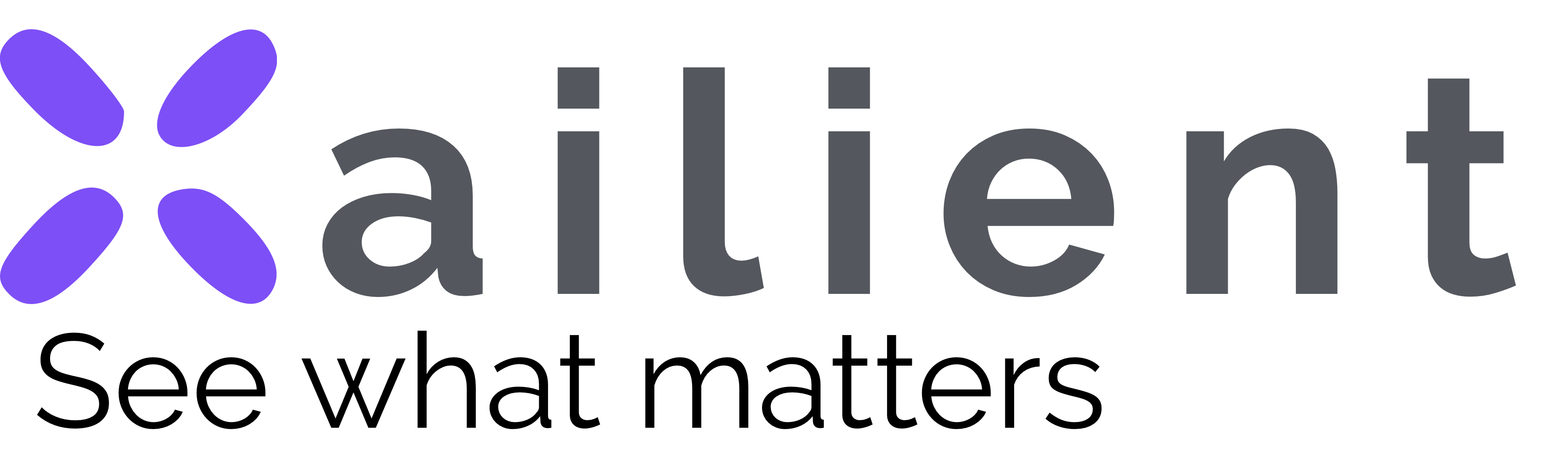 Xailient Logo