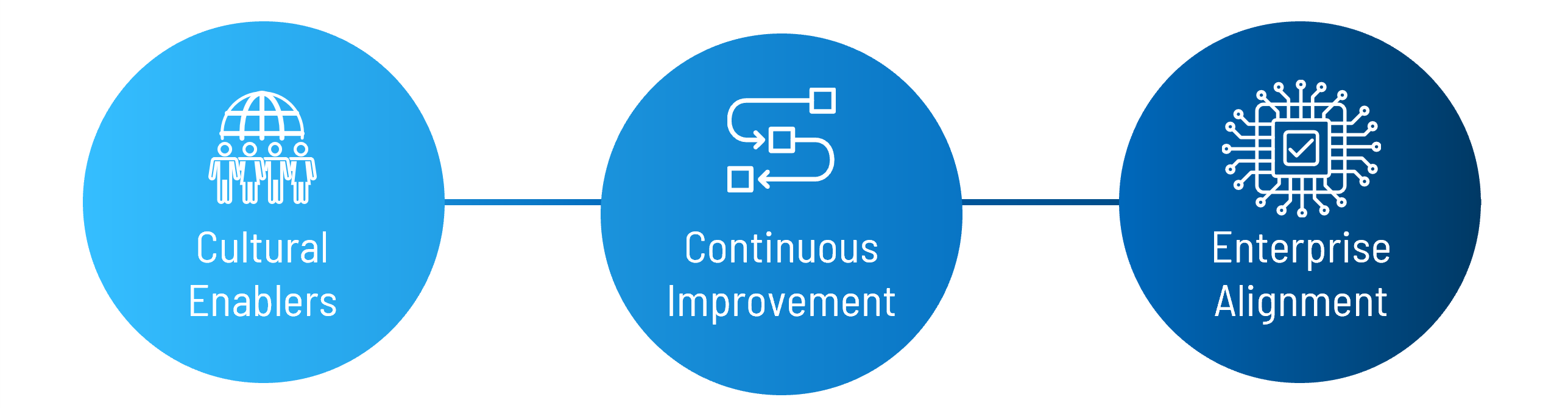 Enterprise Excellence image