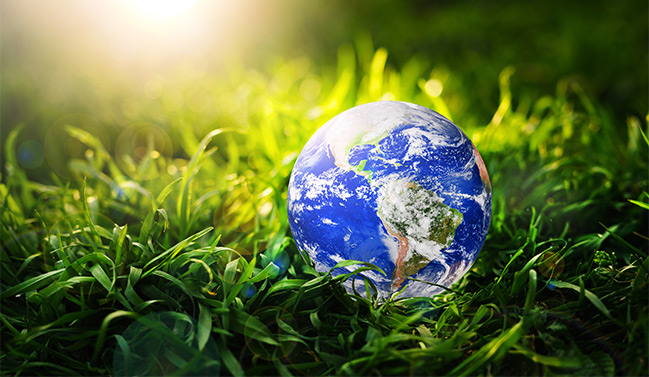 Globe shining on grass