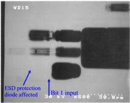 Figure 13: EBIC output displays a difference in the bit 1 input when compared with the remaining 11 bits. Bit 1 shows absence of a structure.