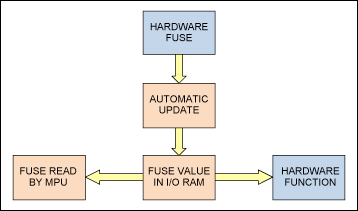 Figure 1. Trim fuse mechanism.