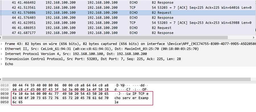 図14. Wiresharkに表示されたTCP Echoサーバの応答