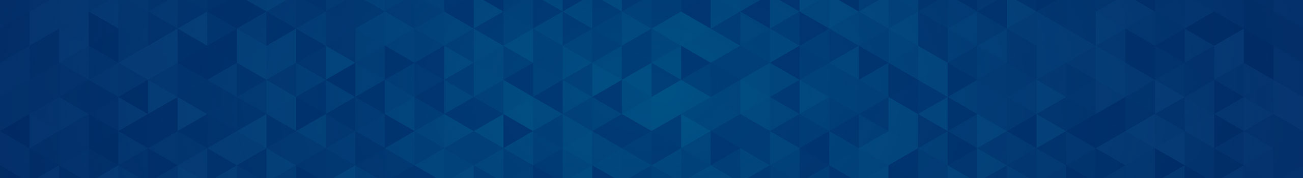 Full Width Promo Banner Placeholder - Desktop