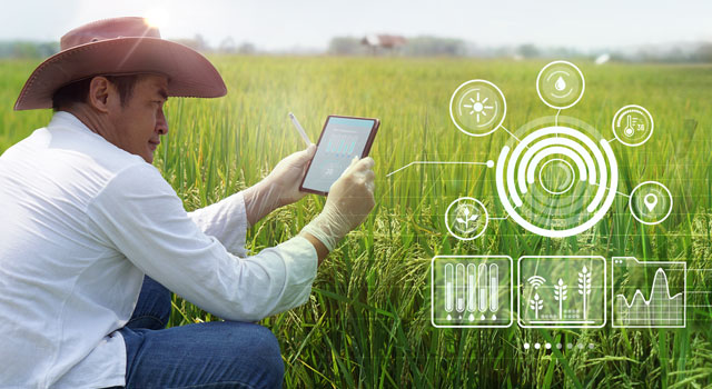 Man kneeling in outdoor field while using a mobile device to monitor agriculture smart technology.