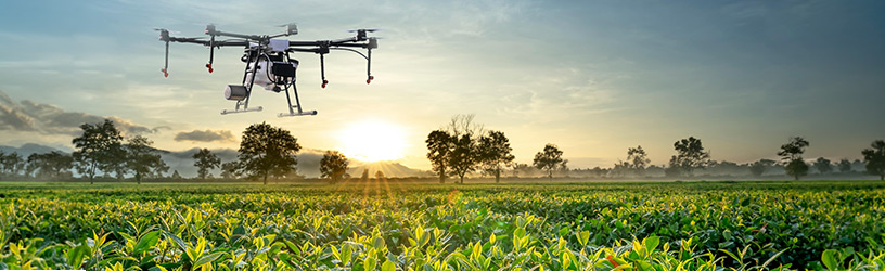 Drone spraying crops in a green field at sunrise.