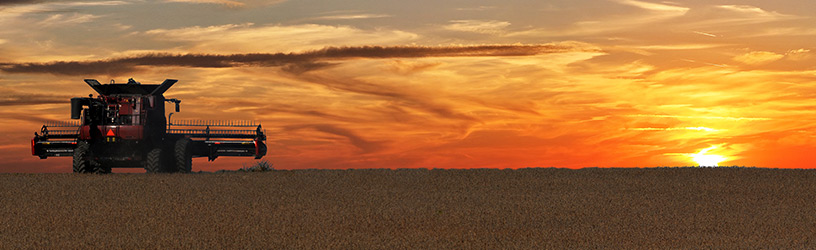 Case IH combine in field at fiery orange sunset.