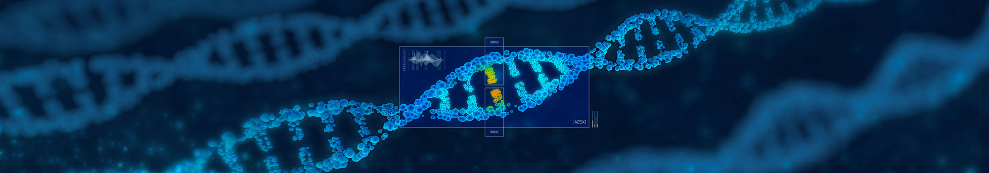 3D model of DNA isolating a section with data visualization overlay