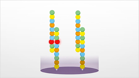 3D model of error identification and removal in DNA chains