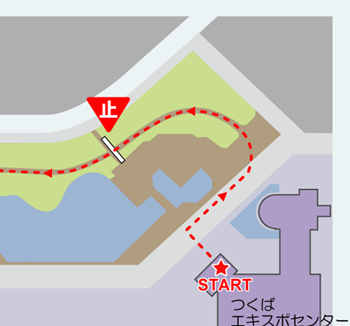 ORNEによって生成した地図。コースの実際の地図