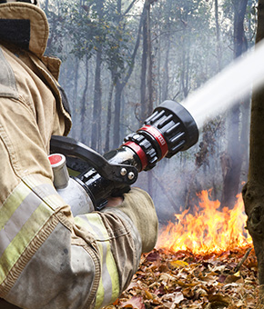 Image shows a firefighter with a water hose spraying on a forest fire.